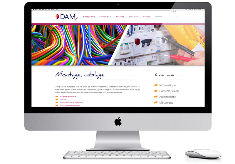 Page d'accueil du site internet Dam